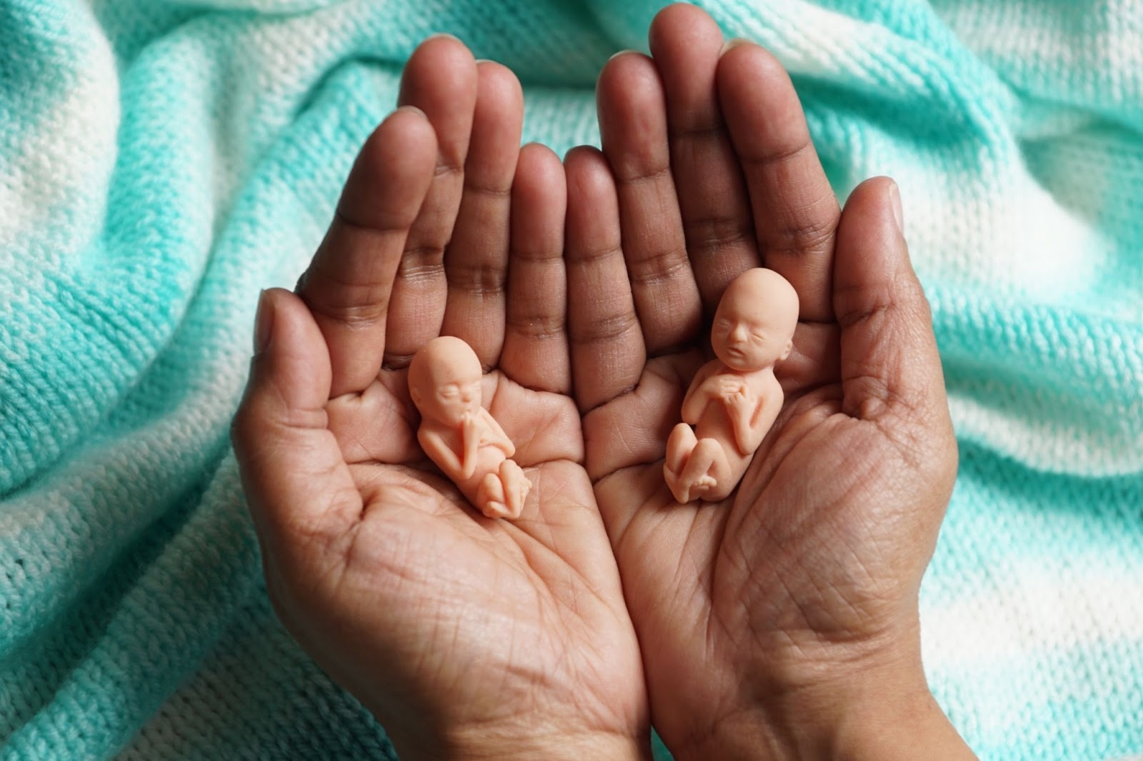 More Than a Kidney Bean: Pro-Life Utah’s Fetal Models Bring Babies to Life