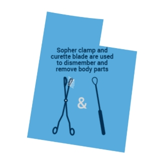 These 30 Utah MFM Doctors Openly Support Abortion (Here's What You Can Do)